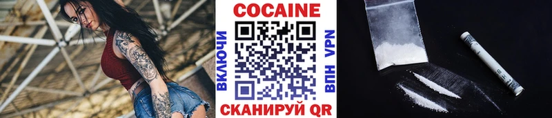 купить наркотики цена  Дигора  Cocaine Эквадор 