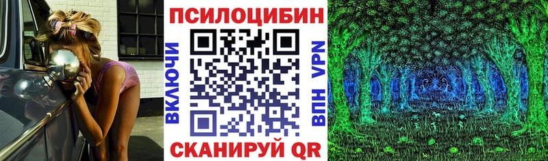 Псилоцибиновые грибы GOLDEN TEACHER Дигора